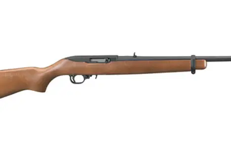 WalMart says, "The Ruger 10/22 rifle is America's favorite .22 LR rifle, with proven performance in a wide range of styles for every rimfire application."